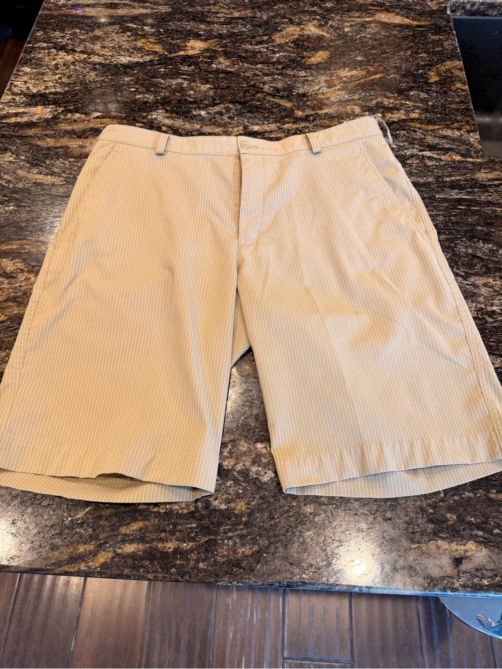 Nike Golf Men's Beige Pinstripe Flat-Front Shorts Sz 34